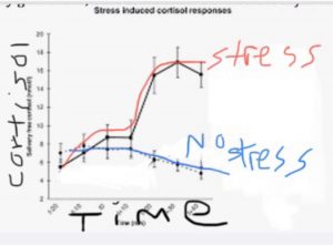 Graphical representation of research done in my lab showing the effects of a stressful vs. non-stressful talk on salivary cortisol levels over time in college student.